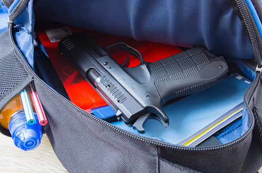 Gun Violence in the US